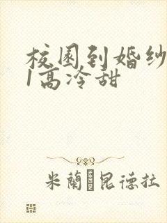 校园到婚纱1V1高冷甜