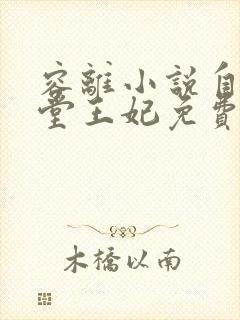 容离小说自请下堂王妃免费阅读封面