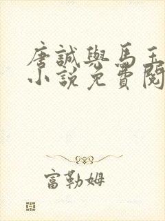 唐诚与马玉婷的小说免费阅读