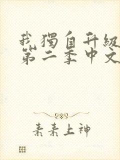 我独自升级动漫第二季中文版封面