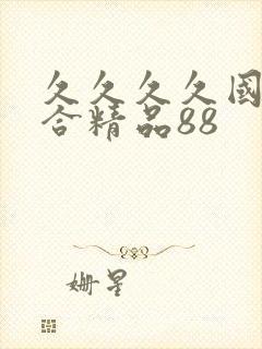久久久久国产综合精品88封面