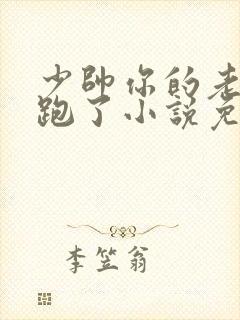 少帅你的老婆又跑了小说免费阅读第1288集