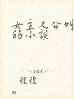 女主人公叫苏晓的小说封面