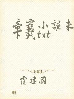 帝霸小说未删版下载txt封面