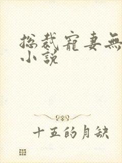 总裁宠妻无度 小说