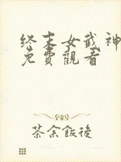 终末女武神三季免费观看封面