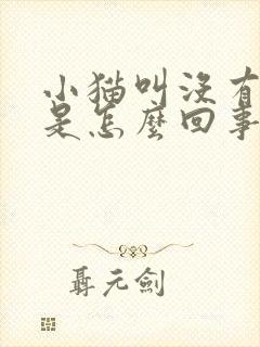 小猫叫没有声音是怎么回事