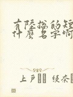 有陆总的短剧叫什么名字啊