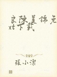 良陈美锦免费txt下载