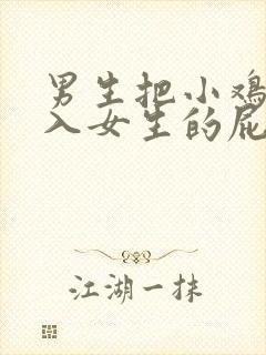 男生把小鸡鸡插入女生的屁股里视频