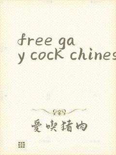 free gay cock chinese封面