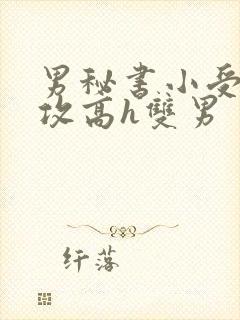 男秘书小受引诱攻高h双男封面