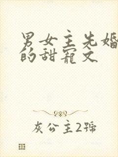 男女主先婚后爱的甜宠文