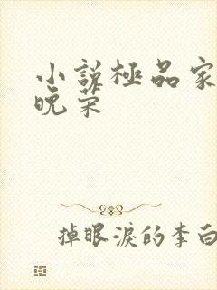 小说极品家丁林晚荣