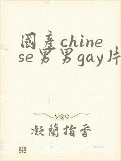 国产chinese男男gay片网站