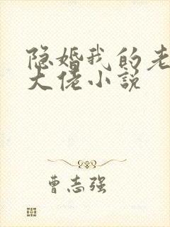 隐婚我的老公是大佬小说