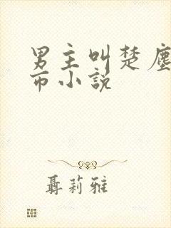 男主叫楚尘的都市小说