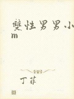 双性男男小说sm封面