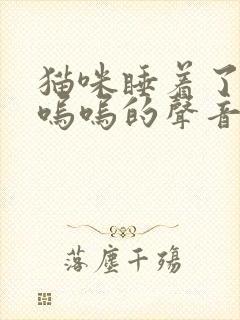 猫咪睡着了发出呜呜的声音