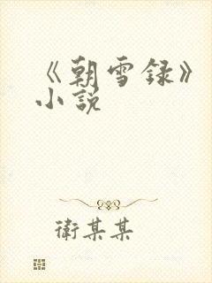 《朝雪录》原著小说封面