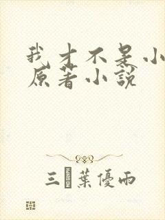 我才不是小可怜原著小说