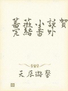 蔷薇小说贺静生完结番外