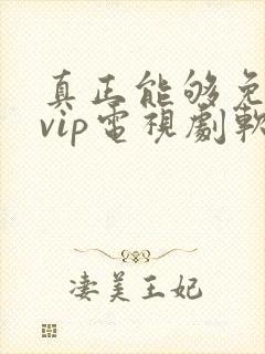 真正能够免费看vip电视剧软件