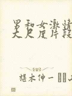 男和女激情做爰大尺度片段