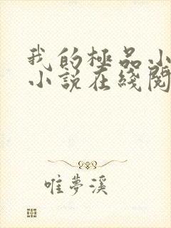 我的极品小姨 小说在线阅读