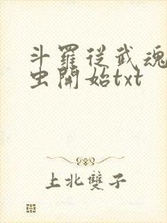 斗罗从武魂时之虫开始txt封面