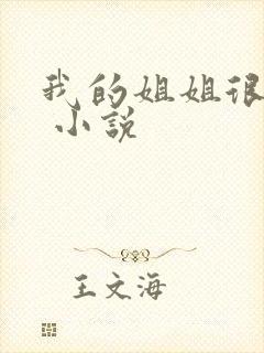 我的姐姐很弟控 小说