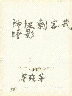 神级刺客我即为暗影