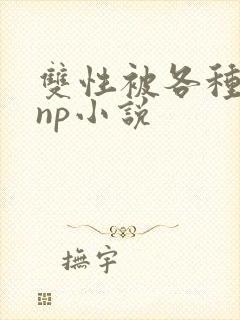 双性被各种淫玩np小说
