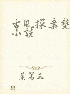 古风探案双男主小说