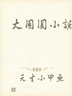大团圆小说