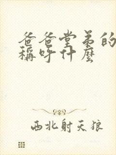 爸爸堂弟的老婆称呼什么