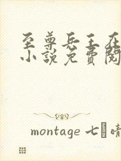 至尊兵王在都市小说免费阅读