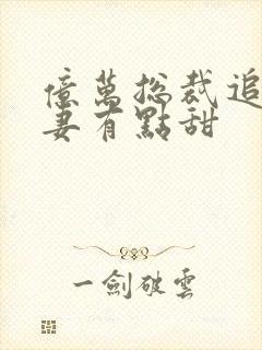 亿万总裁追妻鲜妻有点甜