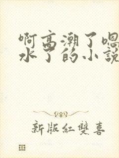 啊高潮了嗯～喷水了的小说封面