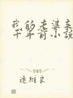 我的老婆来自一千年前小说txt下载