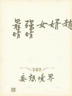 最强女婿赵旭李晴晴