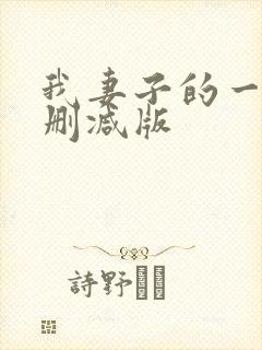 我妻子的一切未删减版