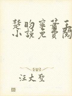 楚昀宁萧王穿越小说免费阅读无弹窗