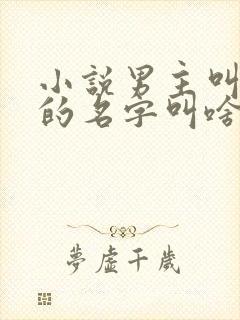 小说男主叫苏明的名字叫啥封面