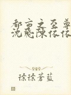 都市之至尊战神沈飞陈依依