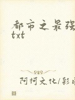 都市之最强仙尊txt