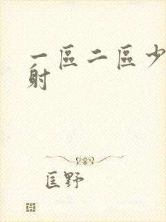 一区二区少妇内射