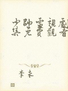 少帅电视剧48集免费观看高清