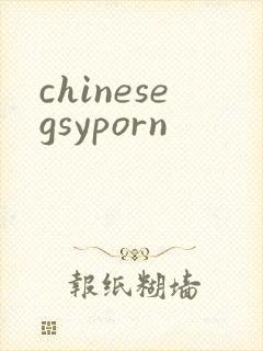 chinesegsyporn