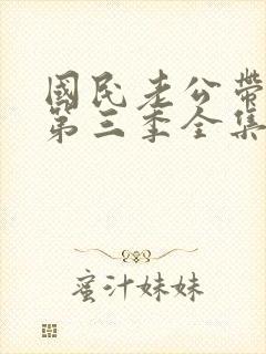 国民老公带回家第三季全集